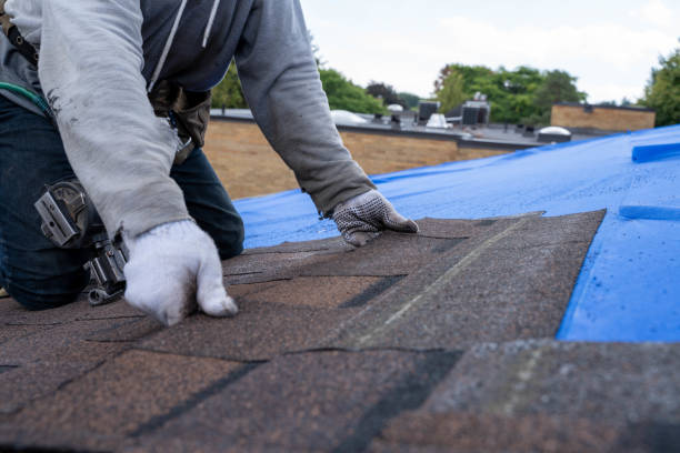 Best Storm Damage Roof Repair  in Clinton, SC